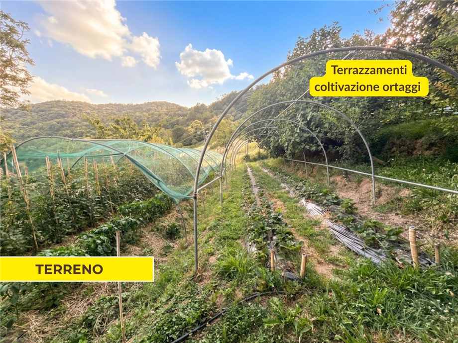 Vendita Rustico/Casale Foresto Sparso  #FS39 n.6