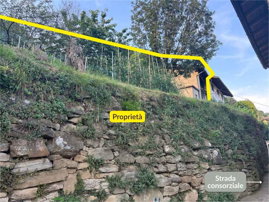 Vendita Rustico/Casale Foresto Sparso  #FS39 n.7