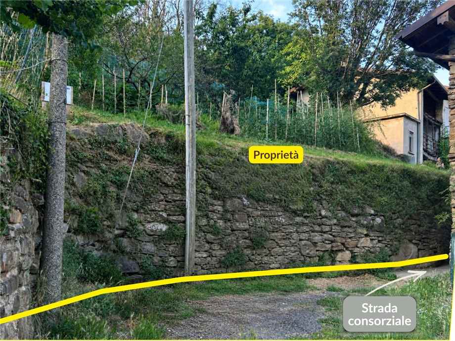 Vendita Rustico/Casale Foresto Sparso  #FS39 n.8