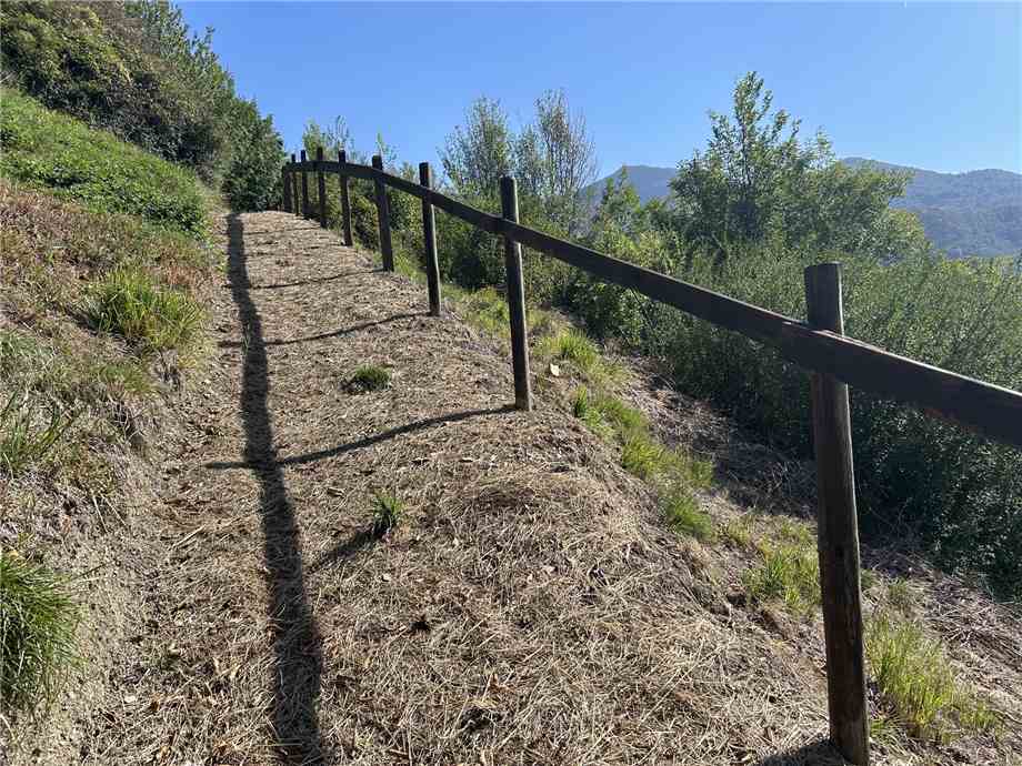 Terreno Adrara San Martino #ASM36
