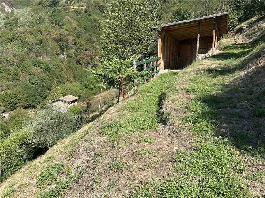 Vendita Terreno Adrara San Martino  #ASM36 n.10