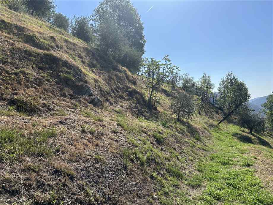 Vendita Terreno Adrara San Martino  #ASM36 n.11