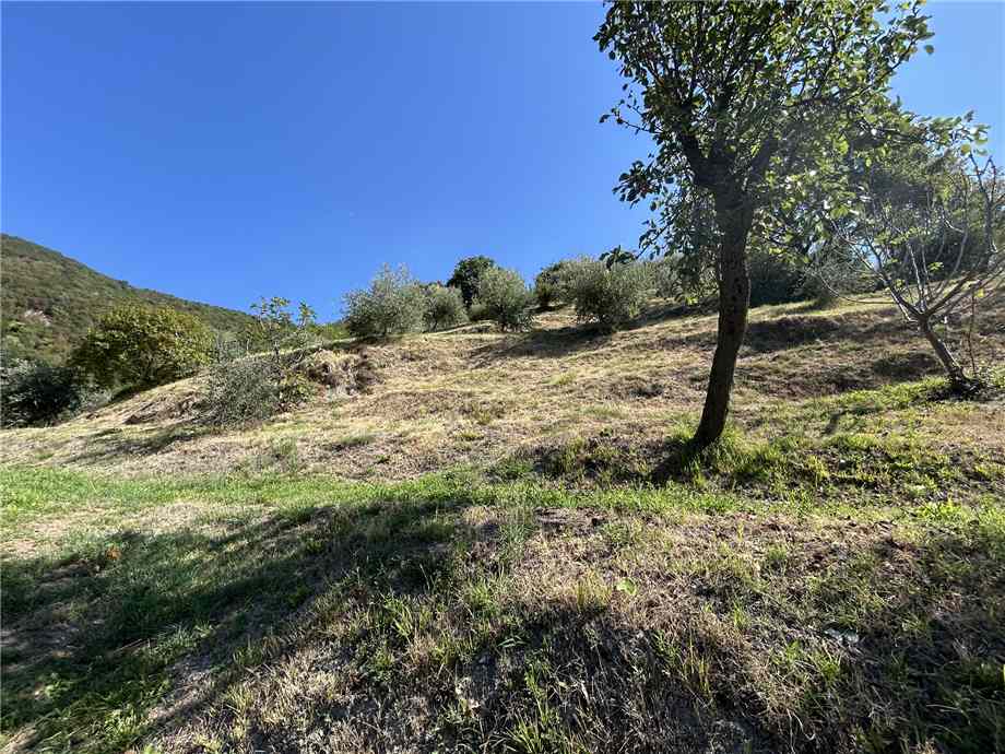 Vendita Terreno Adrara San Martino  #ASM36 n.13