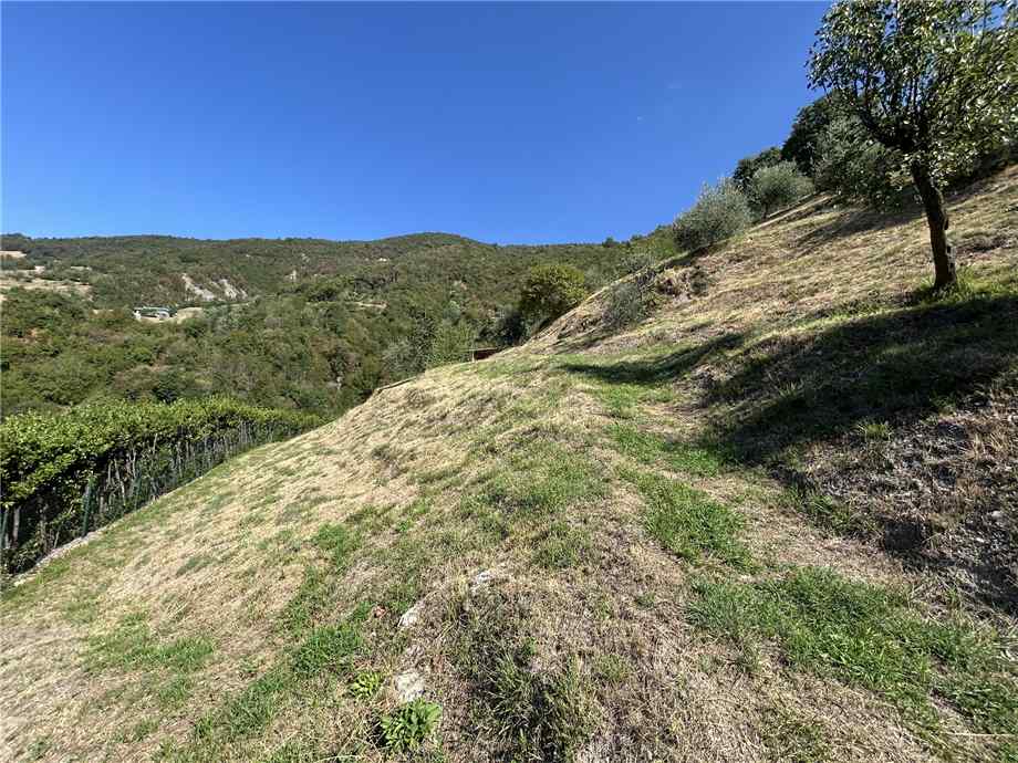 Vendita Terreno Adrara San Martino  #ASM36 n.15