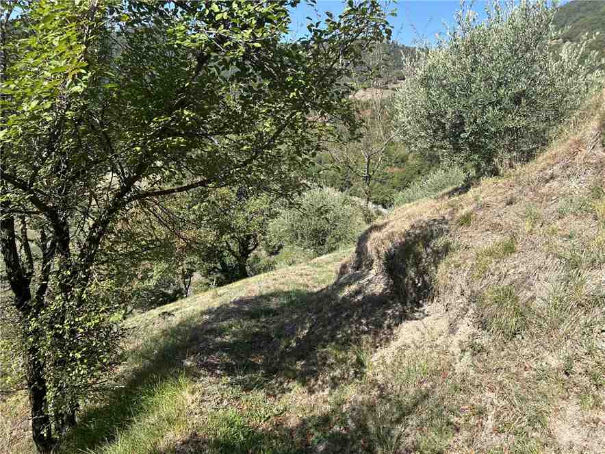 Vendita Terreno Adrara San Martino  #ASM36 n.3