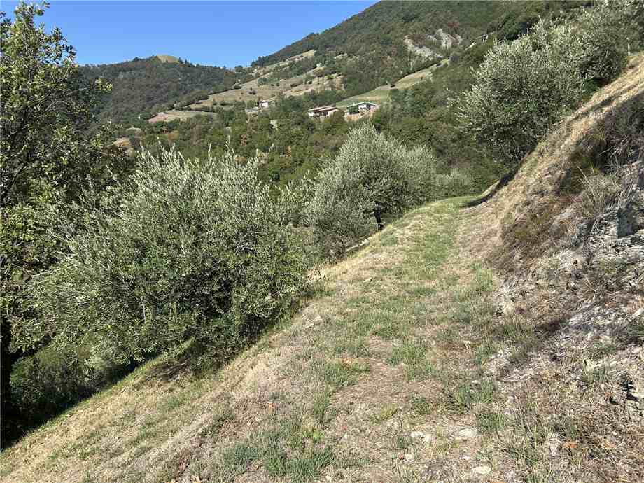 Vendita Terreno Adrara San Martino  #ASM36 n.5