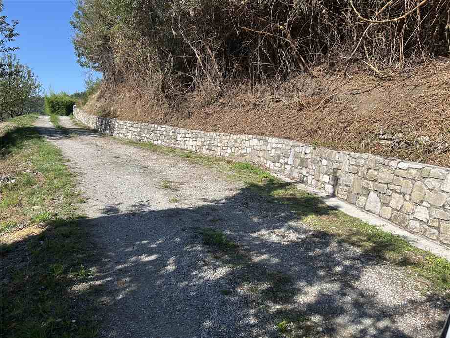 Vendita Terreno Adrara San Martino  #ASM36 n.6