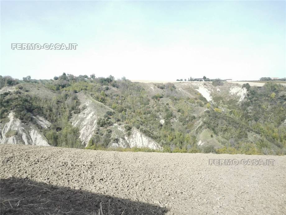 Vendita Rustico/Casale Monterubbiano  #Mrb007 n.10