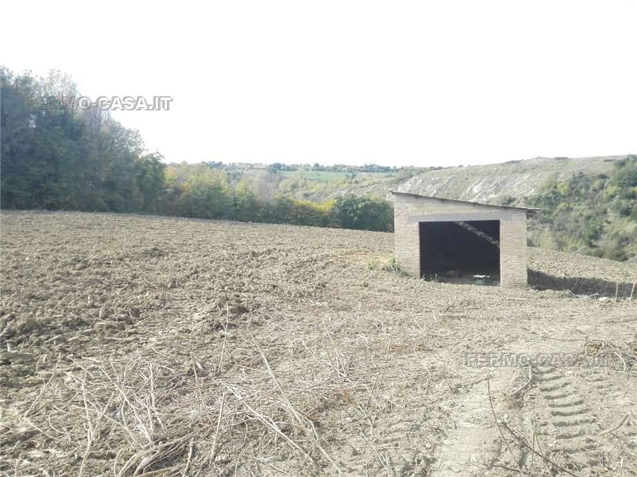 Vendita Rustico/Casale Monterubbiano  #Mrb007 n.11
