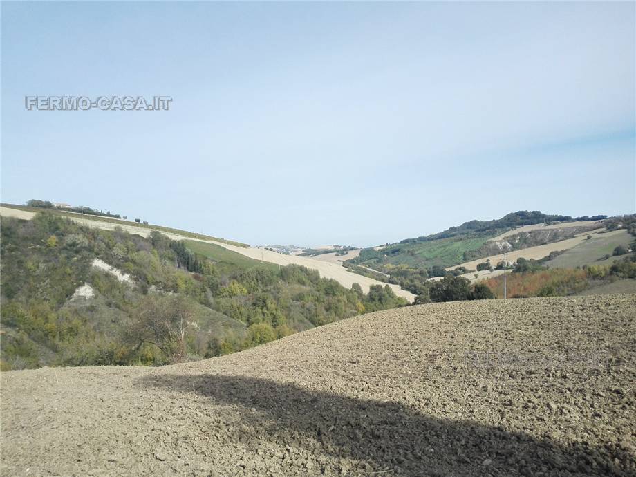 Vendita Rustico/Casale Monterubbiano  #Mrb007 n.12