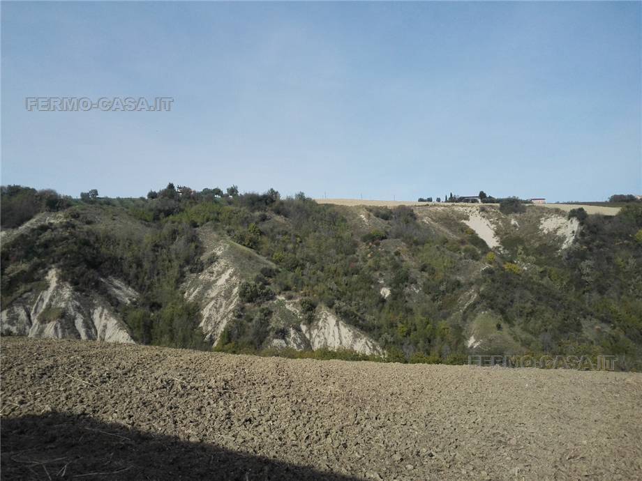 Vendita Rustico/Casale Monterubbiano  #Mrb007 n.13