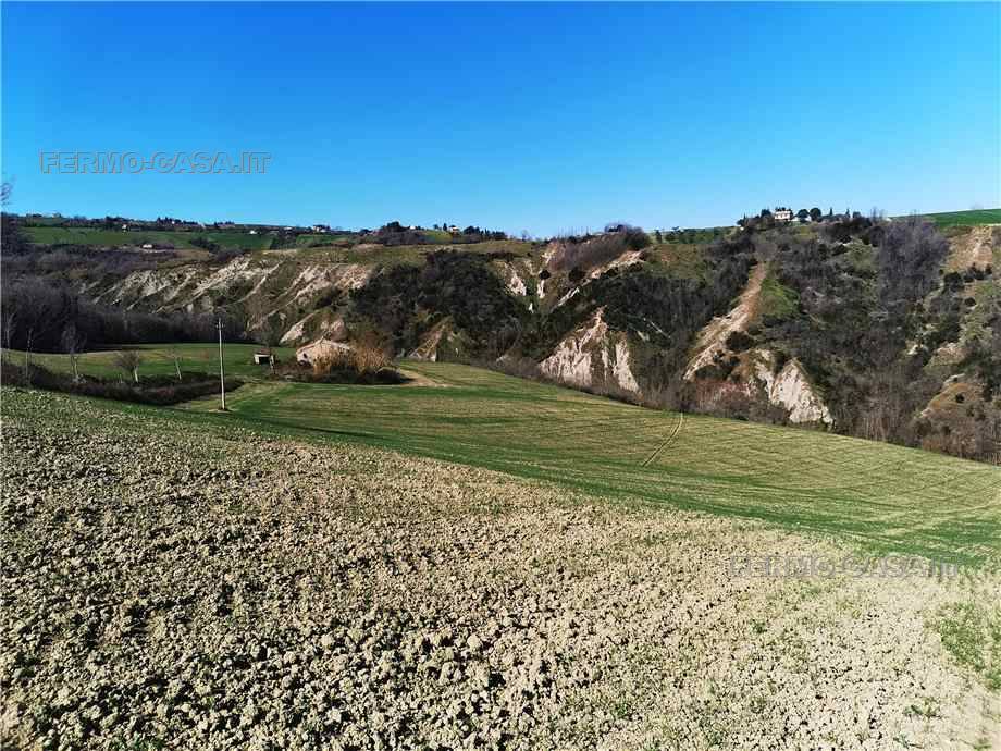 Vendita Rustico/Casale Monterubbiano  #Mrb007 n.14