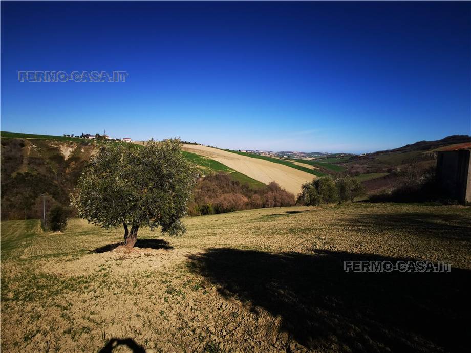 Vendita Rustico/Casale Monterubbiano  #Mrb007 n.15