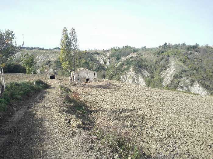 Vendita Rustico/Casale Monterubbiano  #Mrb007 n.3