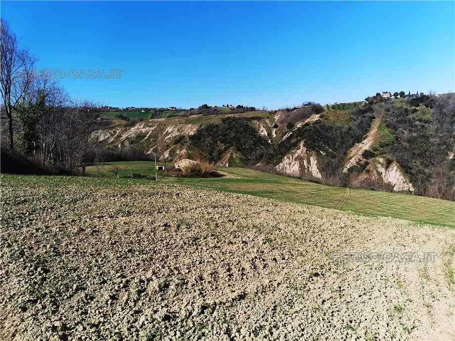 Vendita Rustico/Casale Monterubbiano  #Mrb007 n.4