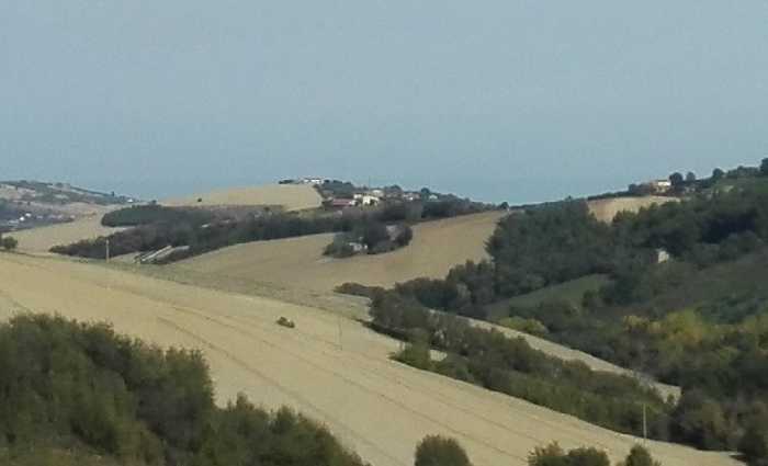Vendita Rustico/Casale Monterubbiano  #Mrb007 n.5