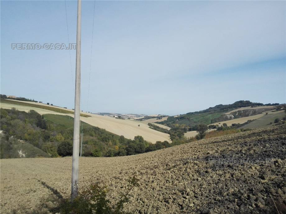 For sale Rural/farmhouse Monterubbiano  #Mrb007 n.7