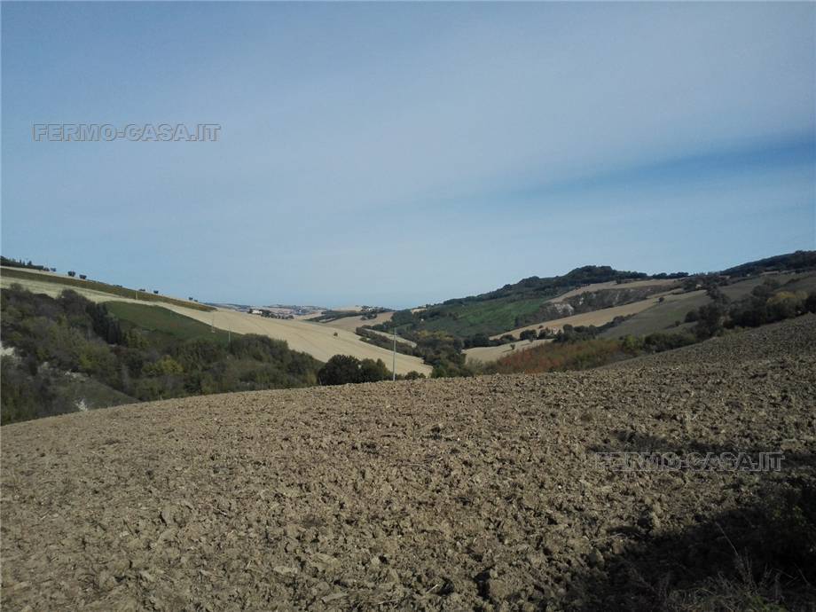Vendita Rustico/Casale Monterubbiano  #Mrb007 n.8