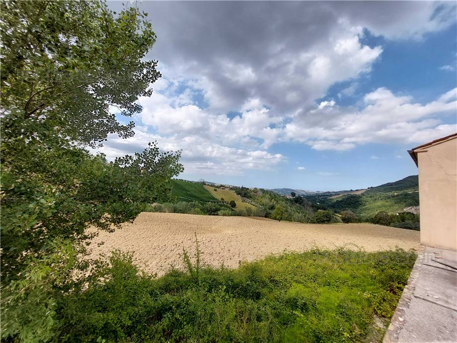 For sale Rural/farmhouse Montedinove  #M9.01 n.13
