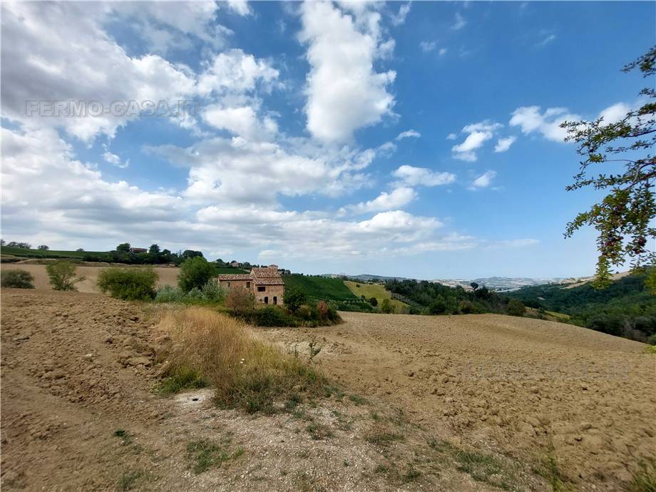 For sale Rural/farmhouse Montedinove  #M9.01 n.19