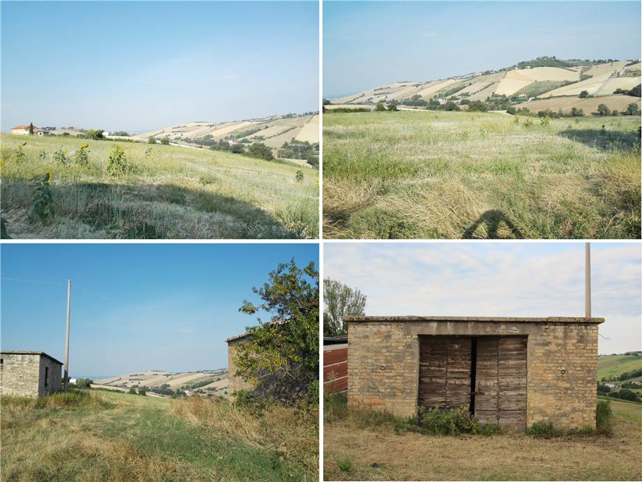For sale Rural/farmhouse Fermo  #fm026 n.27