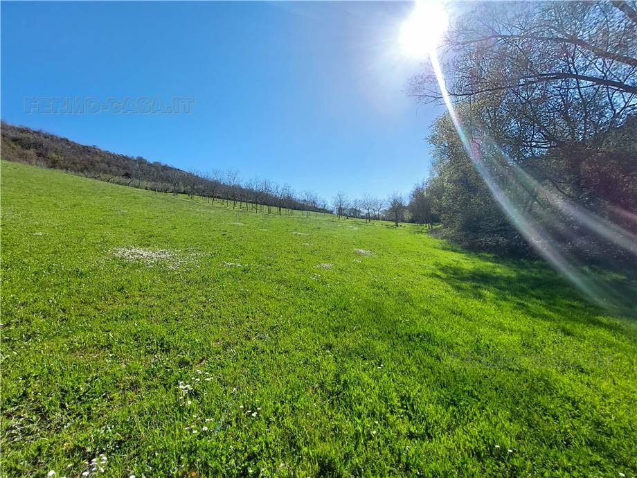 For sale Rural/farmhouse Lapedona  #Lap004 n.11