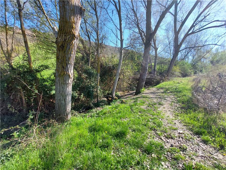 For sale Rural/farmhouse Lapedona  #Lap004 n.14