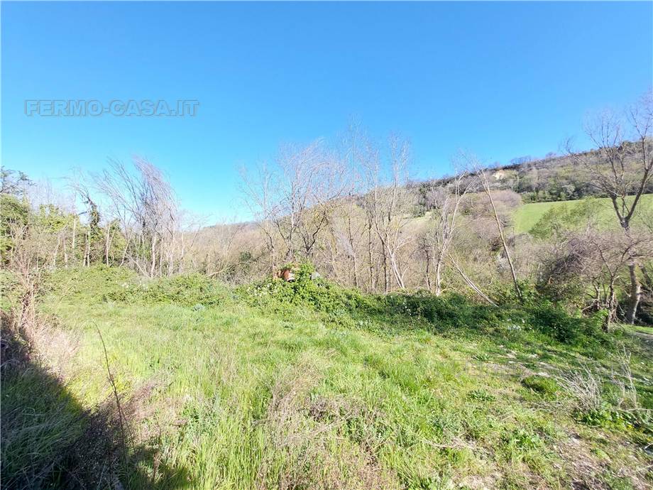 For sale Rural/farmhouse Lapedona  #Lap004 n.9