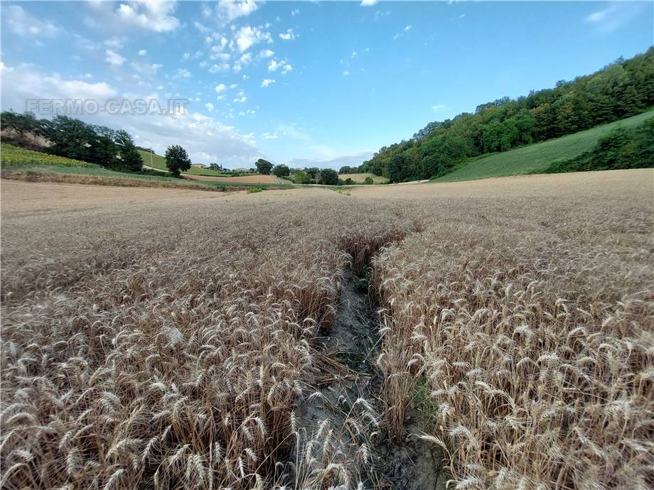 Land Montottone #Mtt002