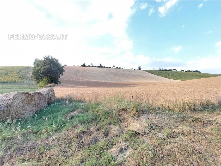 For sale Land Montottone  #Mtt002 n.10