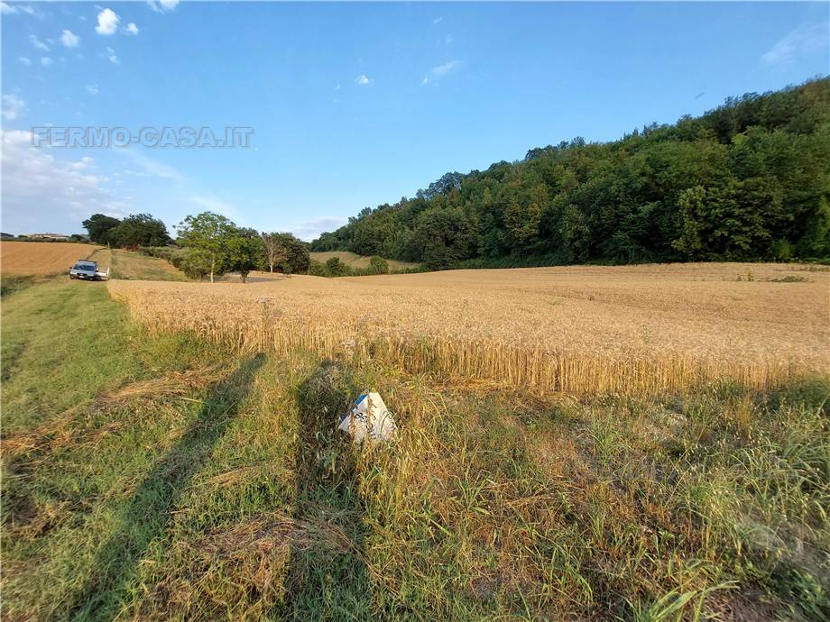 For sale Land Montottone  #Mtt002 n.13