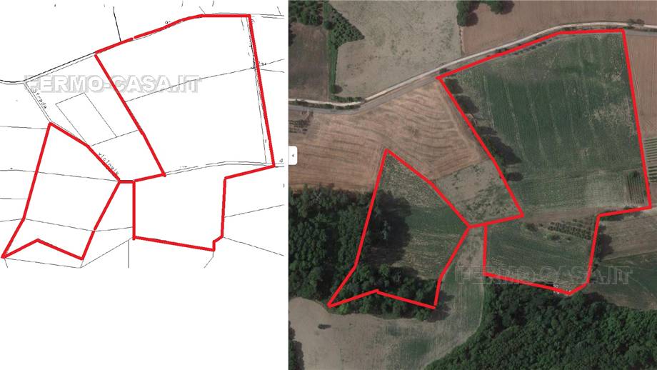For sale Land Montottone  #Mtt002 n.15