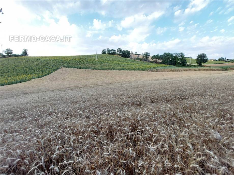 For sale Land Montottone  #Mtt002 n.2