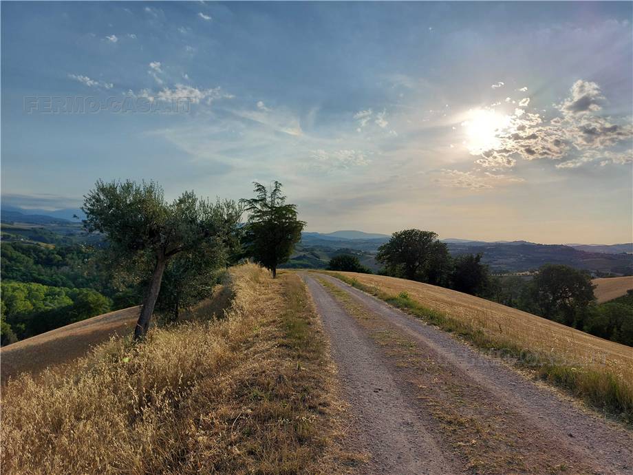 For sale Land Montottone  #Mtt002 n.6