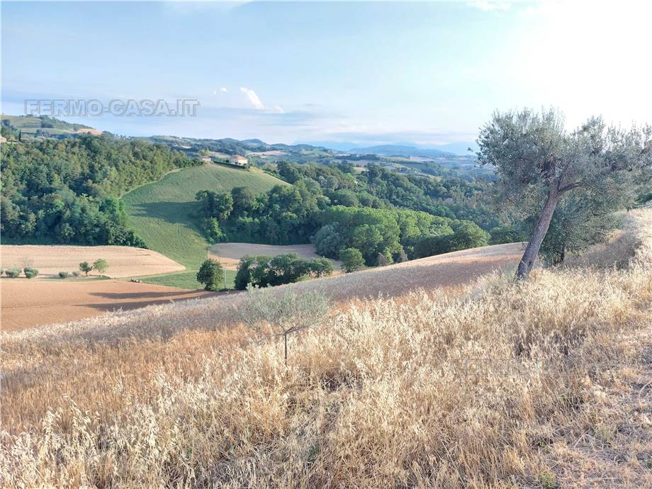 For sale Land Montottone  #Mtt002 n.7