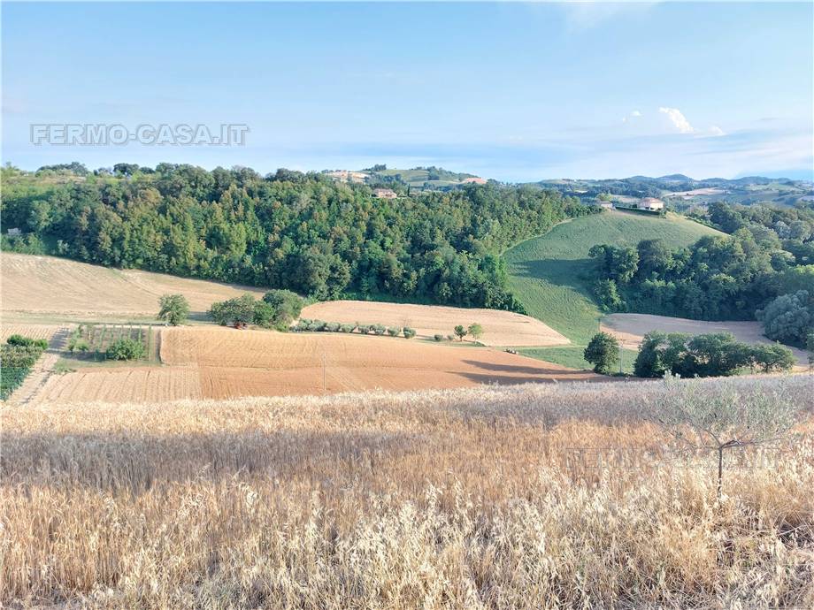 For sale Land Montottone  #Mtt002 n.8