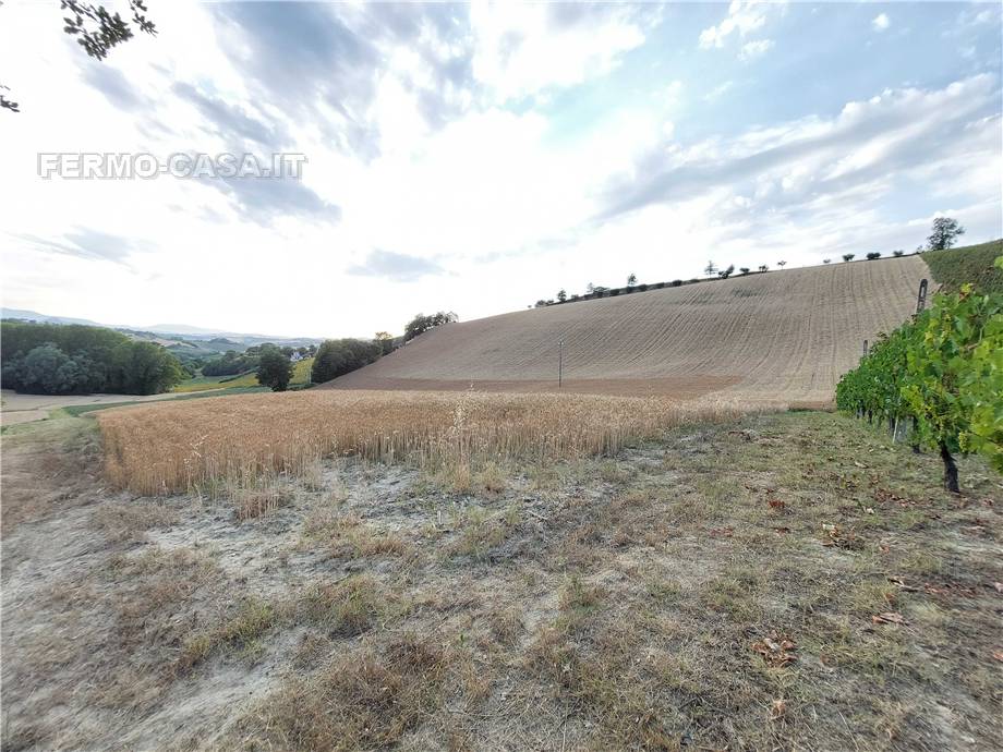 For sale Land Montottone  #Mtt002 n.9