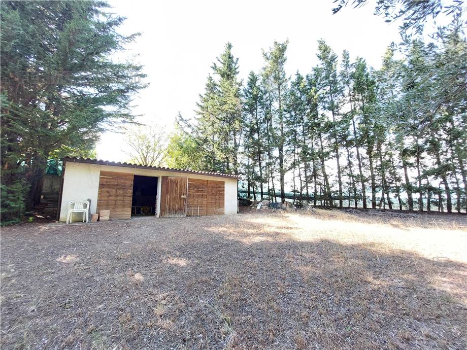 Venta Casa de campo Monterubbiano  #Mrb001 n.24