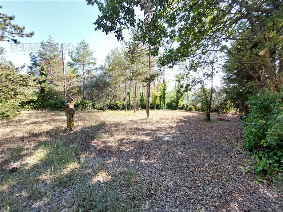 Venta Casa de campo Monterubbiano  #Mrb001 n.26