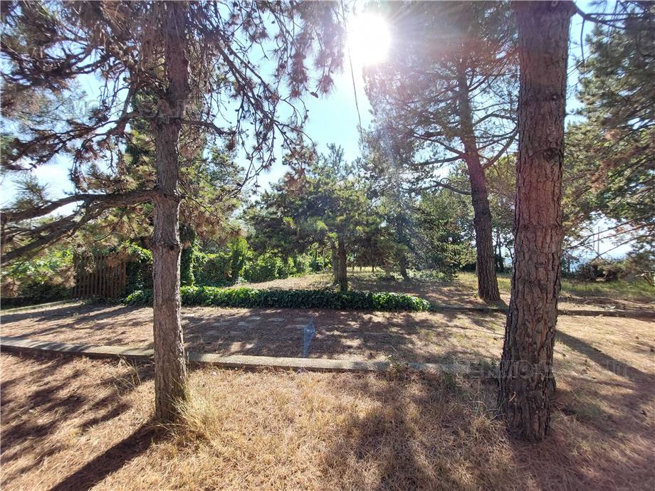 Venta Casa de campo Monterubbiano  #Mrb001 n.28