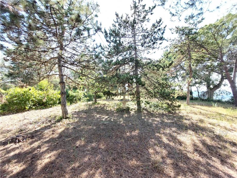 Venta Casa de campo Monterubbiano  #Mrb001 n.30
