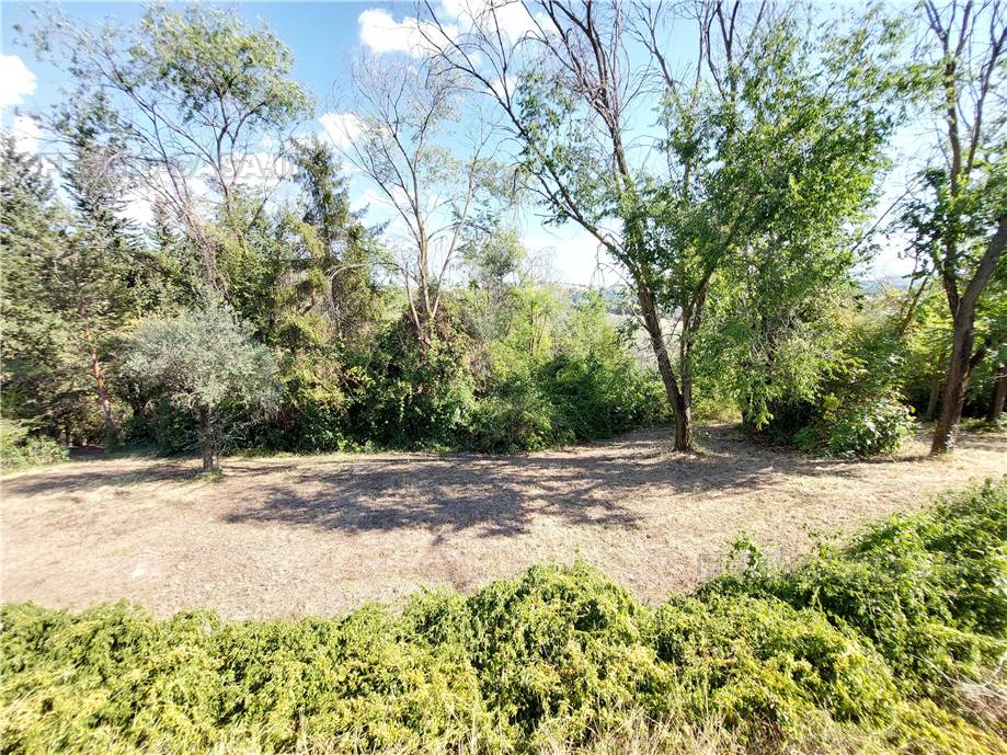 Venta Casa de campo Monterubbiano  #Mrb001 n.31