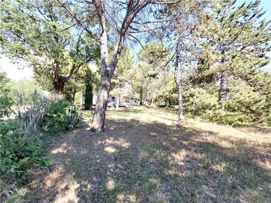 Venta Casa de campo Monterubbiano  #Mrb001 n.32