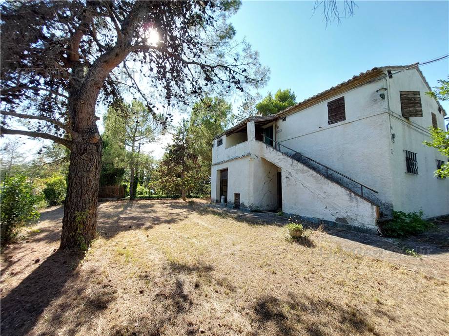 Venta Casa de campo Monterubbiano  #Mrb001 n.5