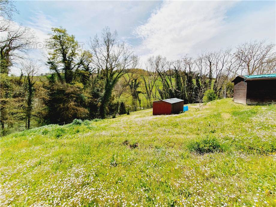 For sale Rural/farmhouse Monte Giberto  #Mgb001 n.10