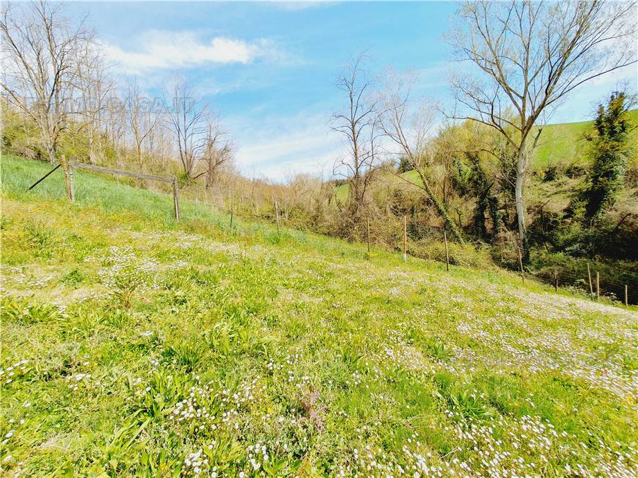 For sale Rural/farmhouse Monte Giberto  #Mgb001 n.11