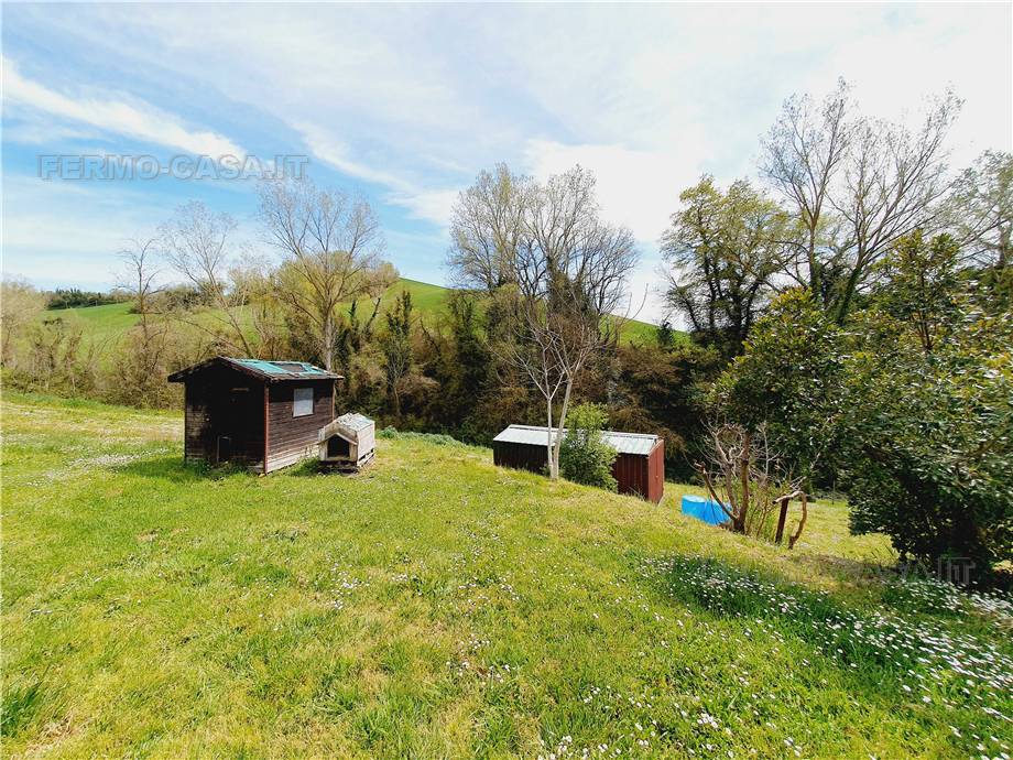 For sale Rural/farmhouse Monte Giberto  #Mgb001 n.7