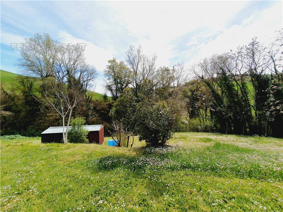 For sale Rural/farmhouse Monte Giberto  #Mgb001 n.8