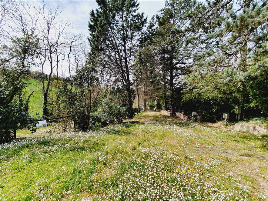 For sale Rural/farmhouse Monte Giberto  #Mgb001 n.9