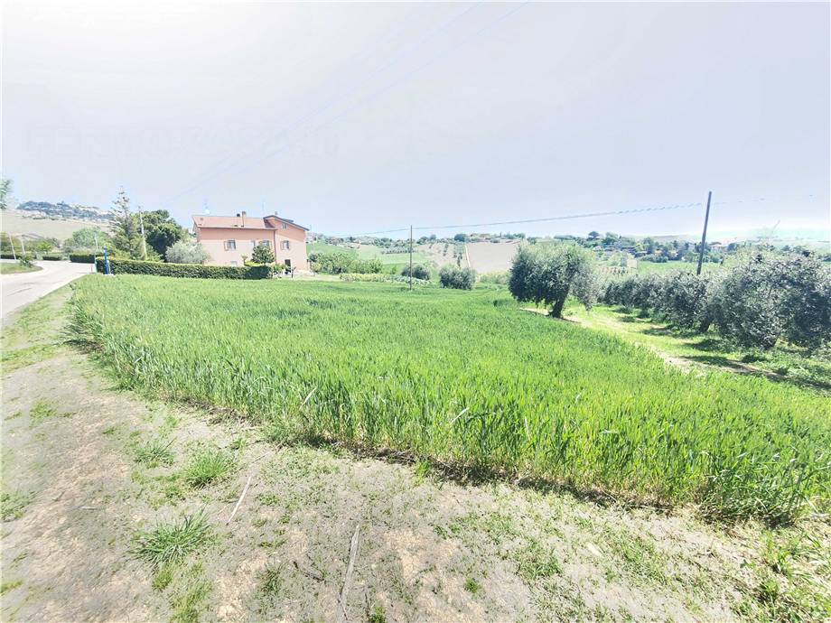 Venta Terreno edificable Fermo Ete Caldarette #fm016 n.15
